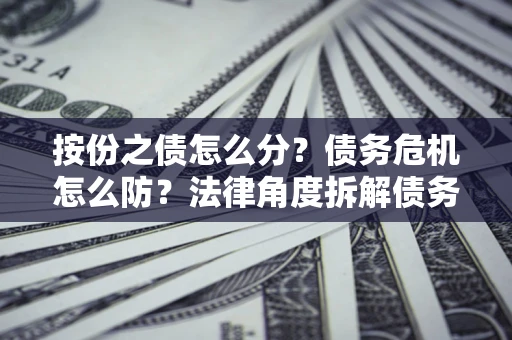 武汉按份之债怎么分？债务危机怎么防？法律角度拆解债务分配与风险自保指南