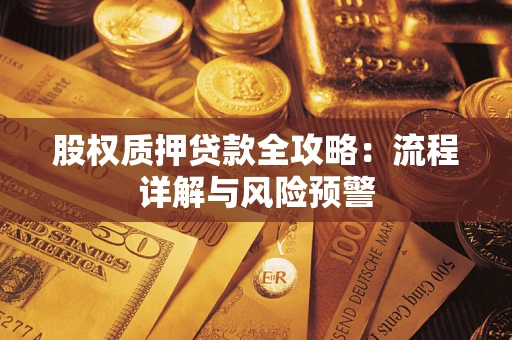 武汉股权质押贷款全攻略：流程详解与风险预警