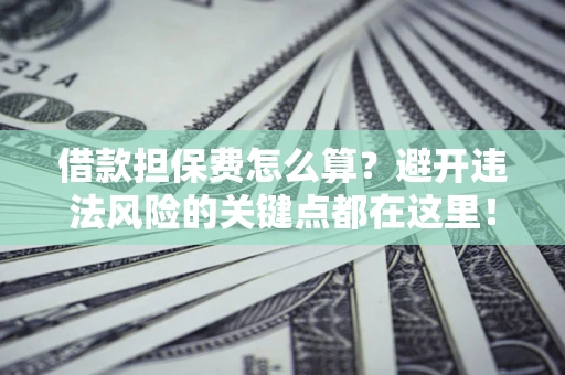 武汉借款担保费怎么算？避开违法风险的关键点都在这里！