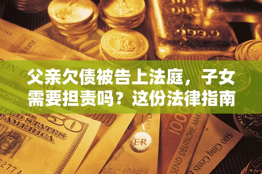 武汉父亲欠债被告上法庭，子女需要担责吗？这份法律指南必须看完