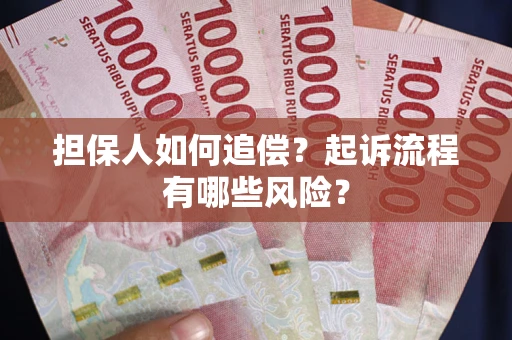 武汉担保人如何追偿？起诉流程有哪些风险？