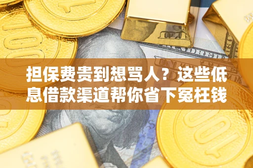 武汉担保费贵到想骂人？这些低息借款渠道帮你省下冤枉钱