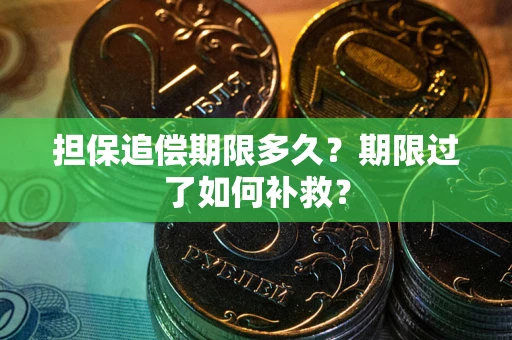 武汉担保追偿期限多久？期限过了如何补救？