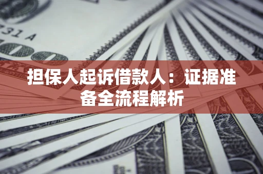 武汉担保人起诉借款人：证据准备全流程解析