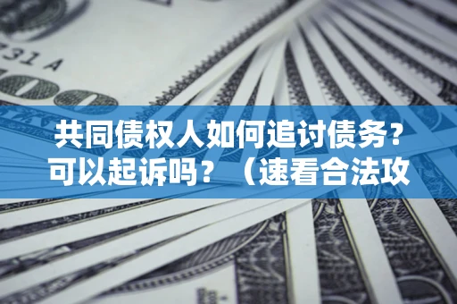 武汉共同债权人如何追讨债务？可以起诉吗？（速看合法攻略）