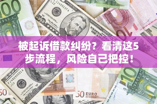 武汉被起诉借款纠纷？看清这5步流程，风险自己把控！