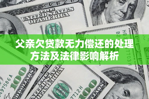 武汉父亲欠贷款无力偿还的处理方法及法律影响解析