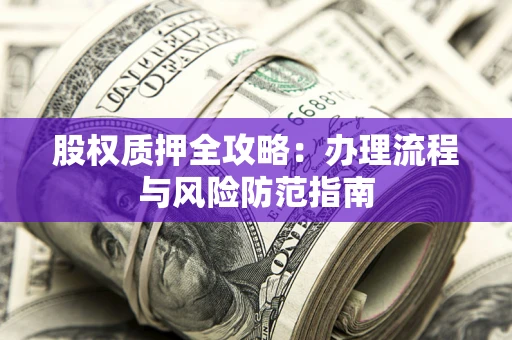 武汉股权质押全攻略：办理流程与风险防范指南