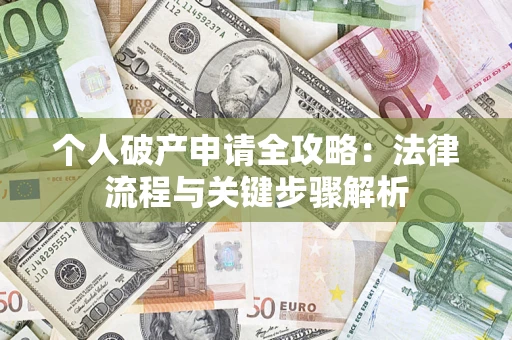 武汉个人破产申请全攻略：法律流程与关键步骤解析