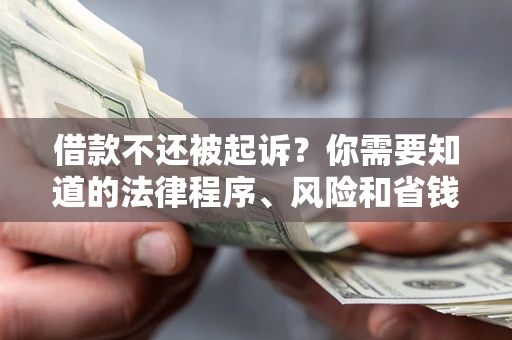 武汉借款不还被起诉？你需要知道的法律程序、风险和省钱技巧