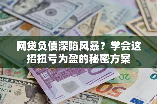武汉网贷负债深陷风暴？学会这招扭亏为盈的秘密方案