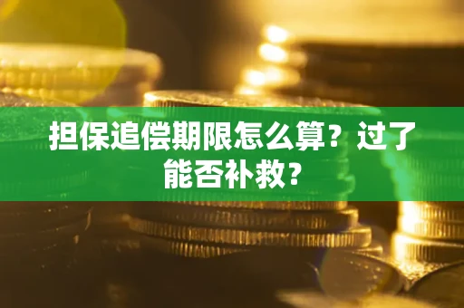 武汉担保追偿期限怎么算？过了能否补救？